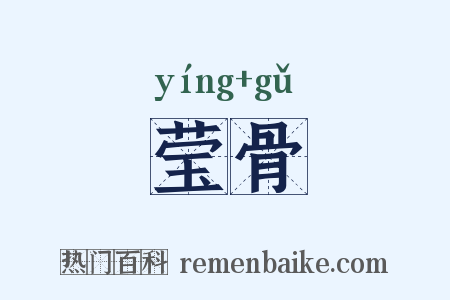 莹骨是什么意思的图片